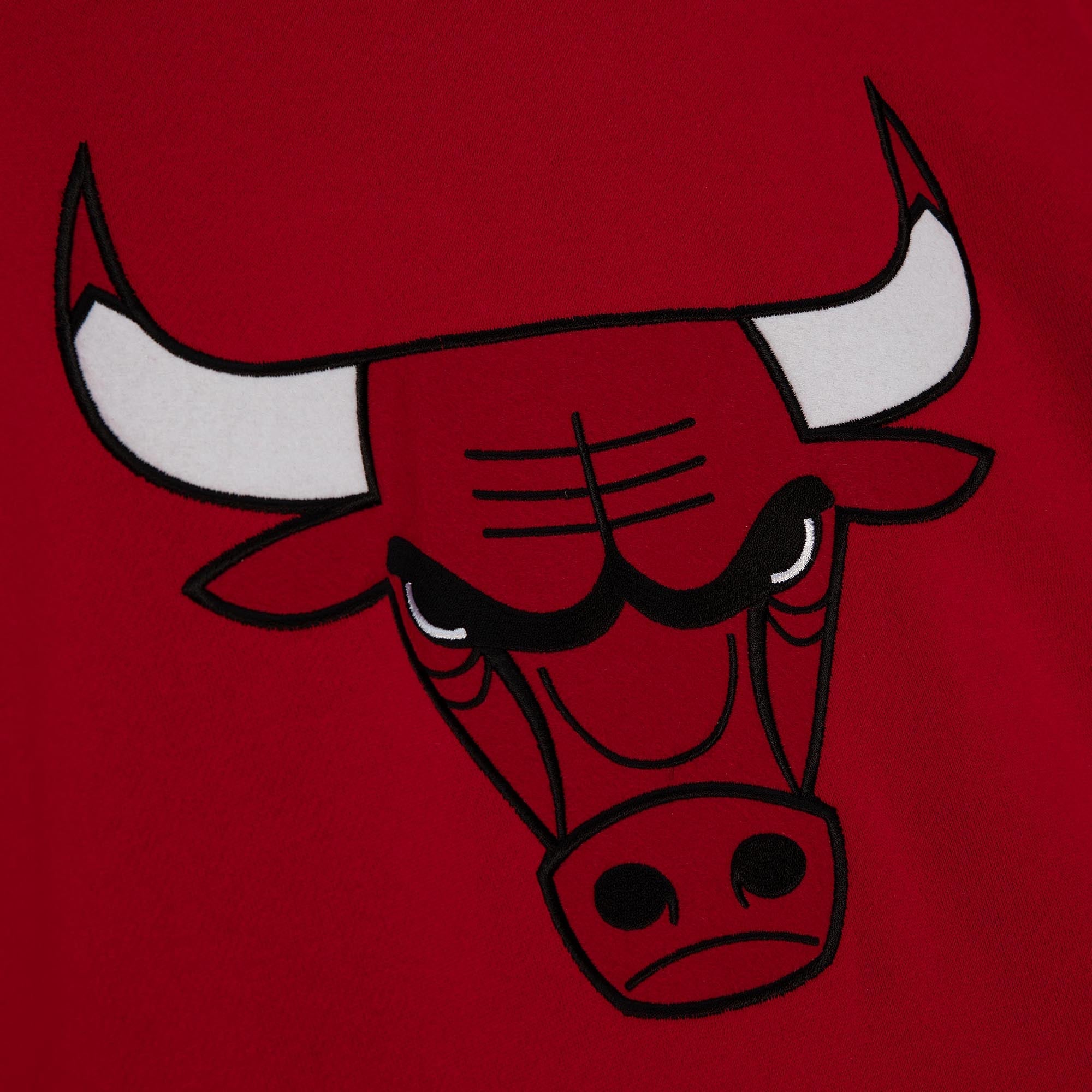Sudadera NBA Team Origins Fleece Bulls Scar