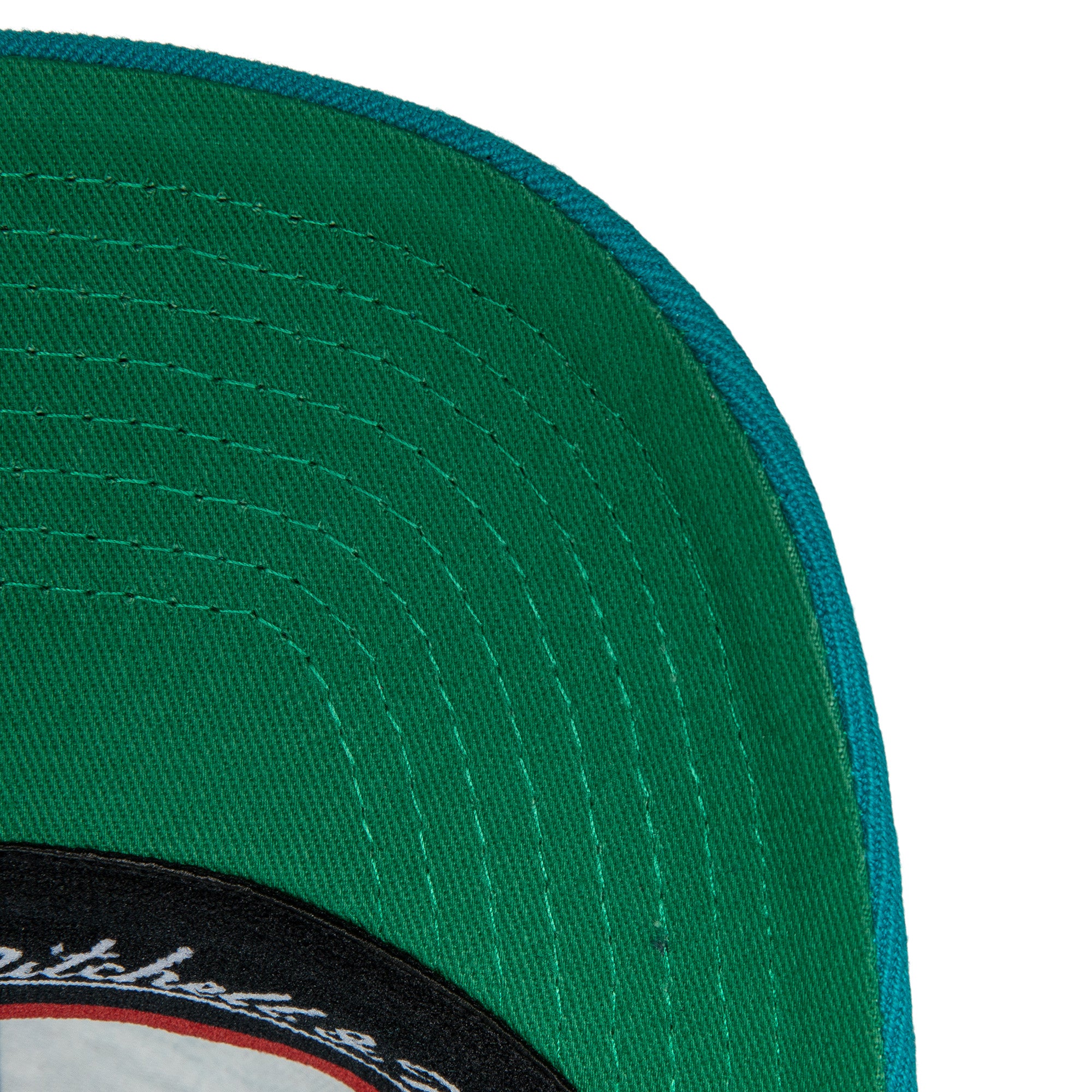 Gorra NBA Team Ground 2.0 Stretch Snapback Hwc Hornets