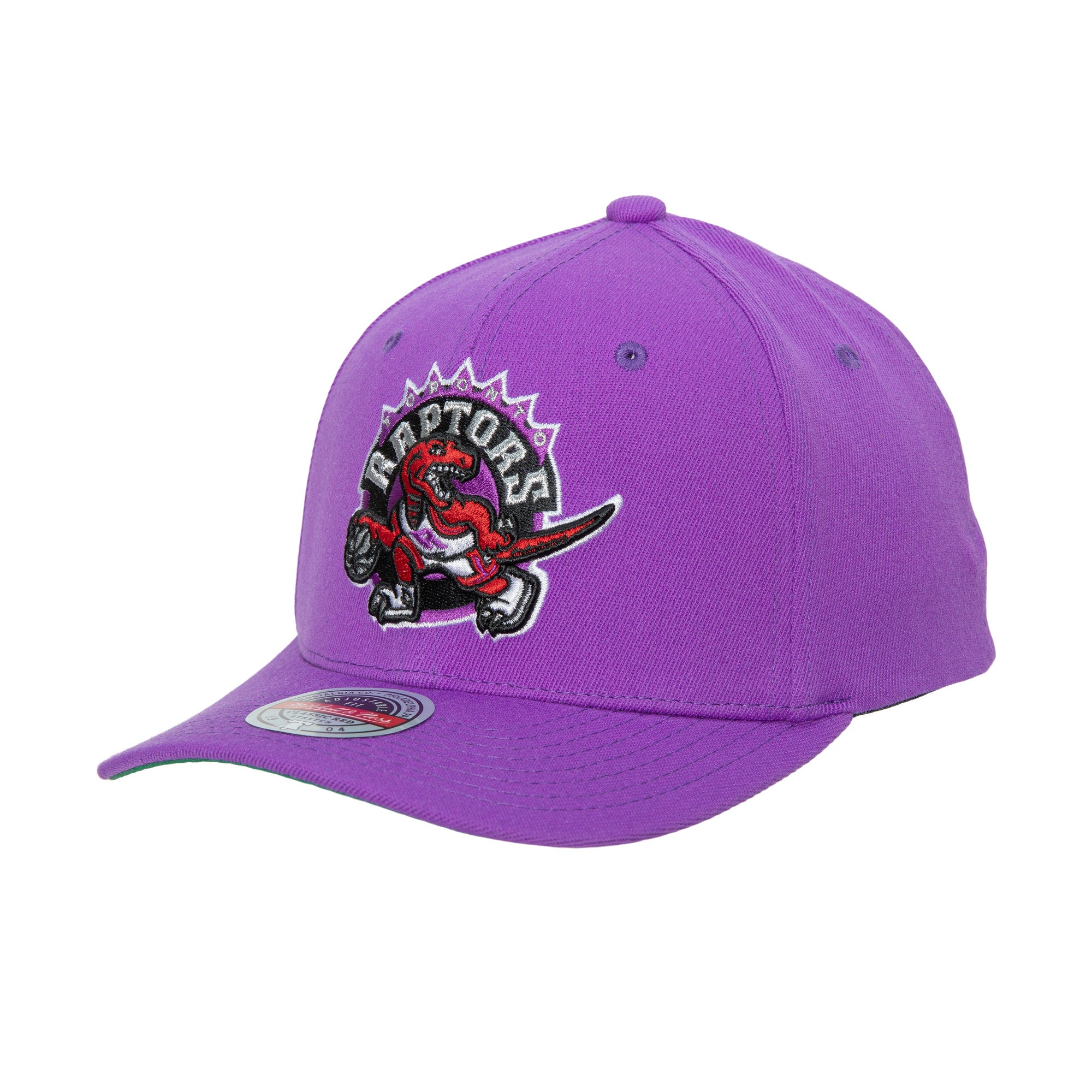 Gorra NBA Team Ground 2.0 Stretch Snapback Hwc Raptors