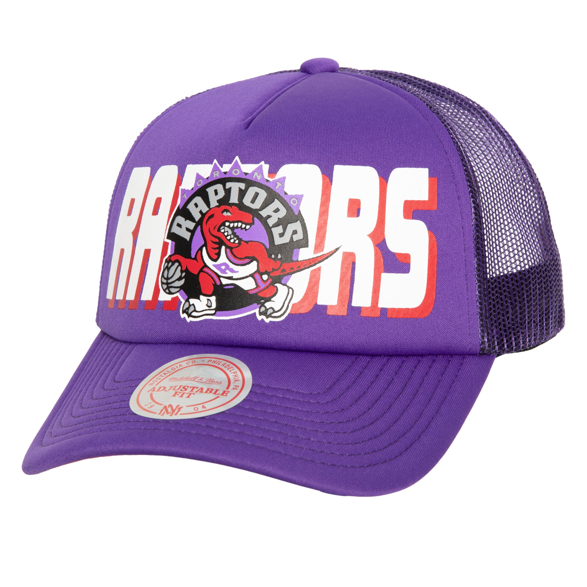 Gorra NBA Billboard Trucker Snapback Hwc Raptors