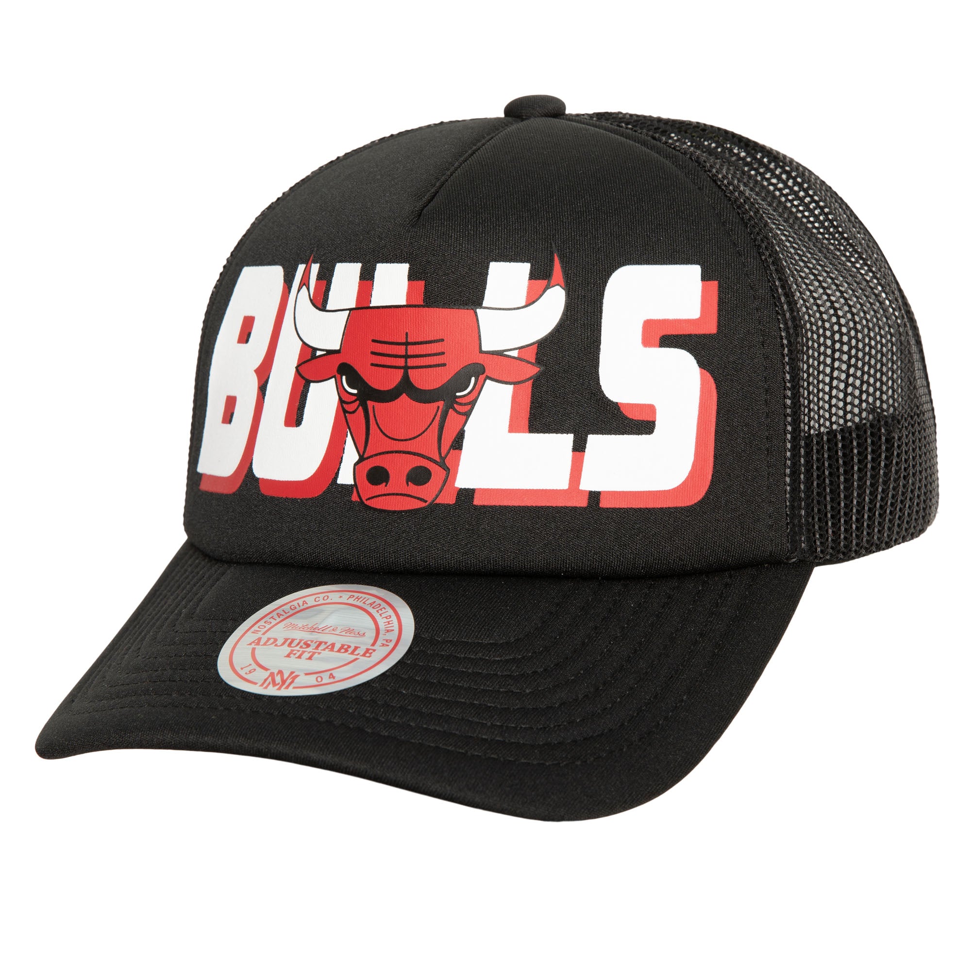 Gorra NBA Billboard Trucker Snapback Bulls