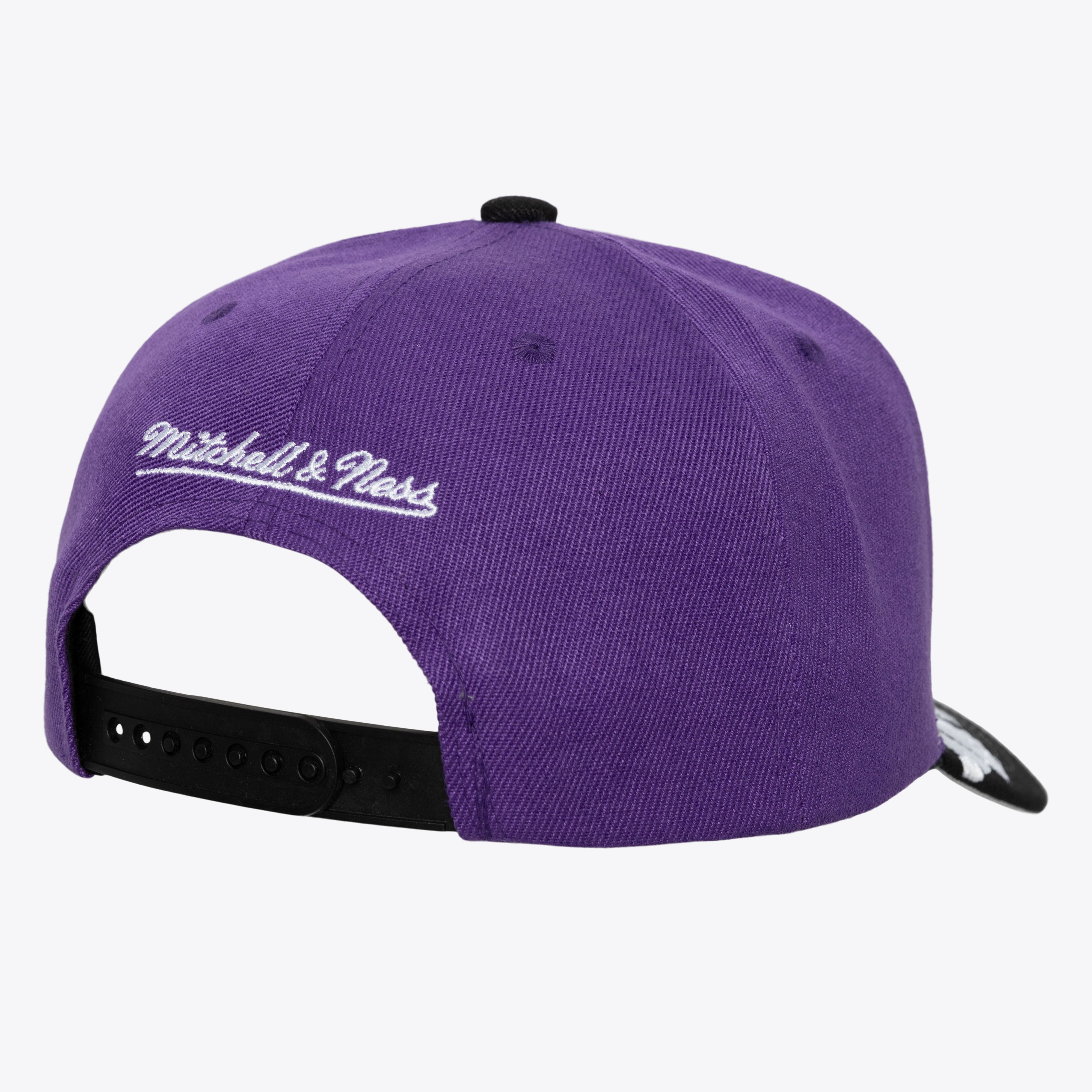 Gorra M&N NBA Underarch Pro Snapback Hwc Raptors