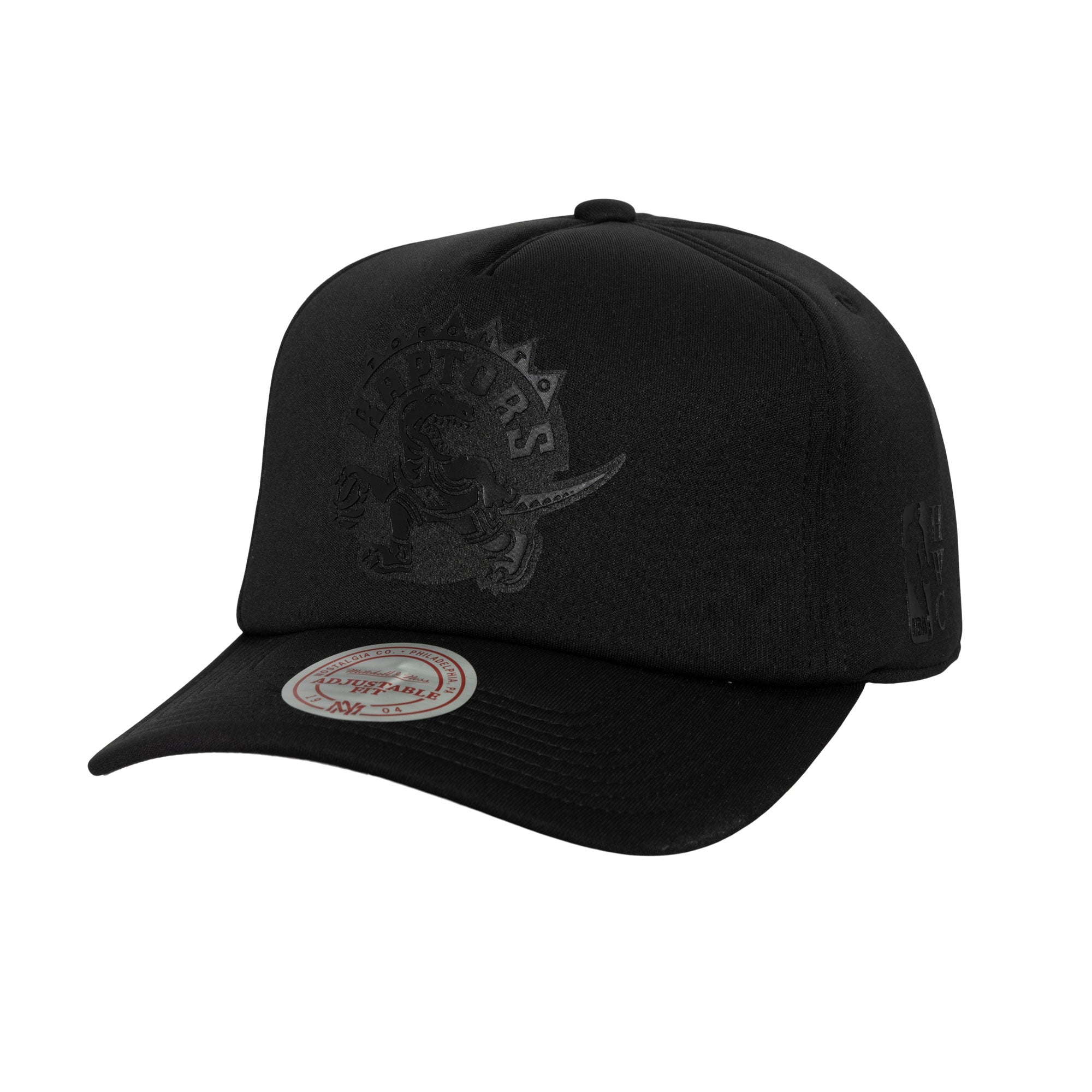 Gorra M&N NBA Foam Pro Snapback Hwc Raptors