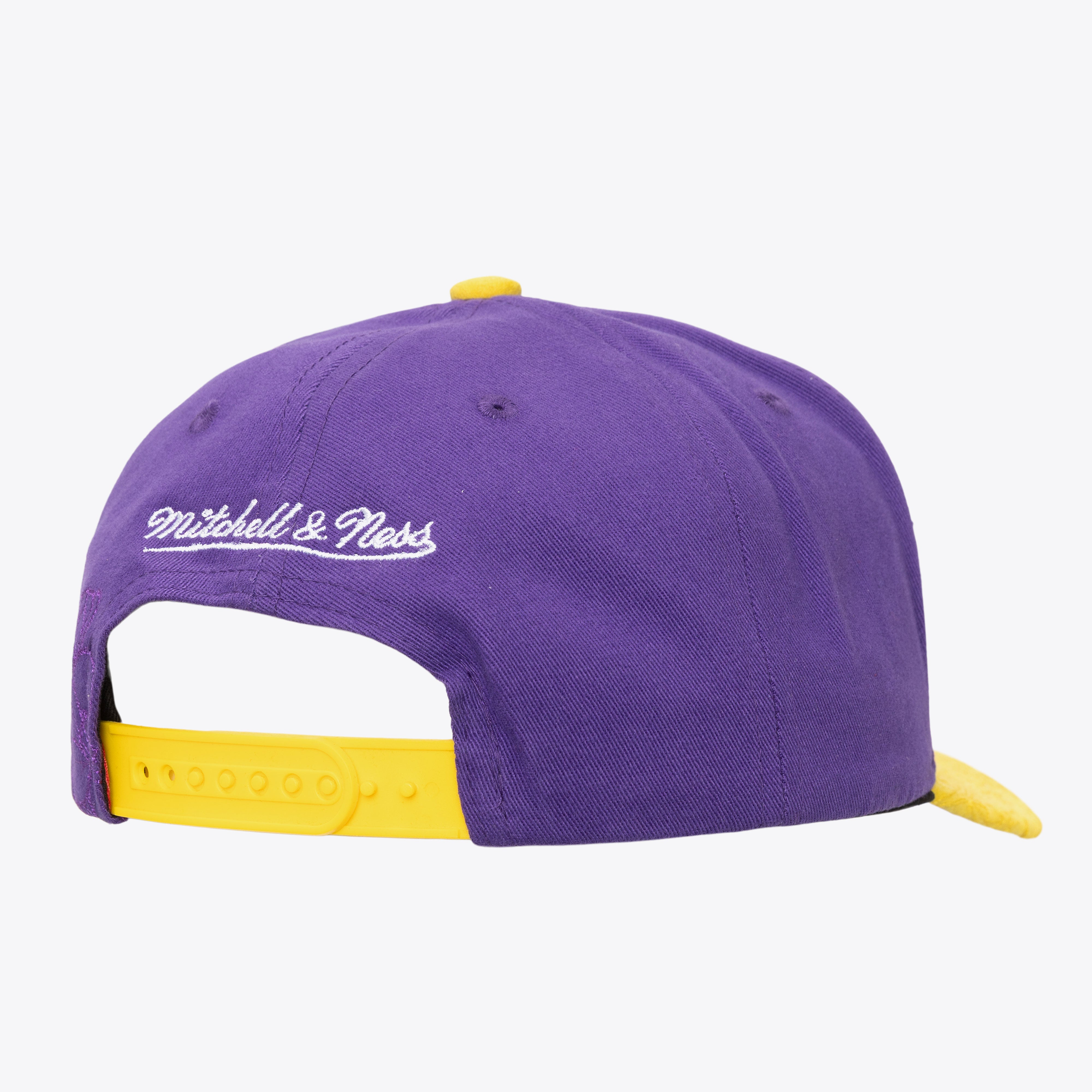 Gorra M&N NBA May Flowers Pro Snapback Lakers
