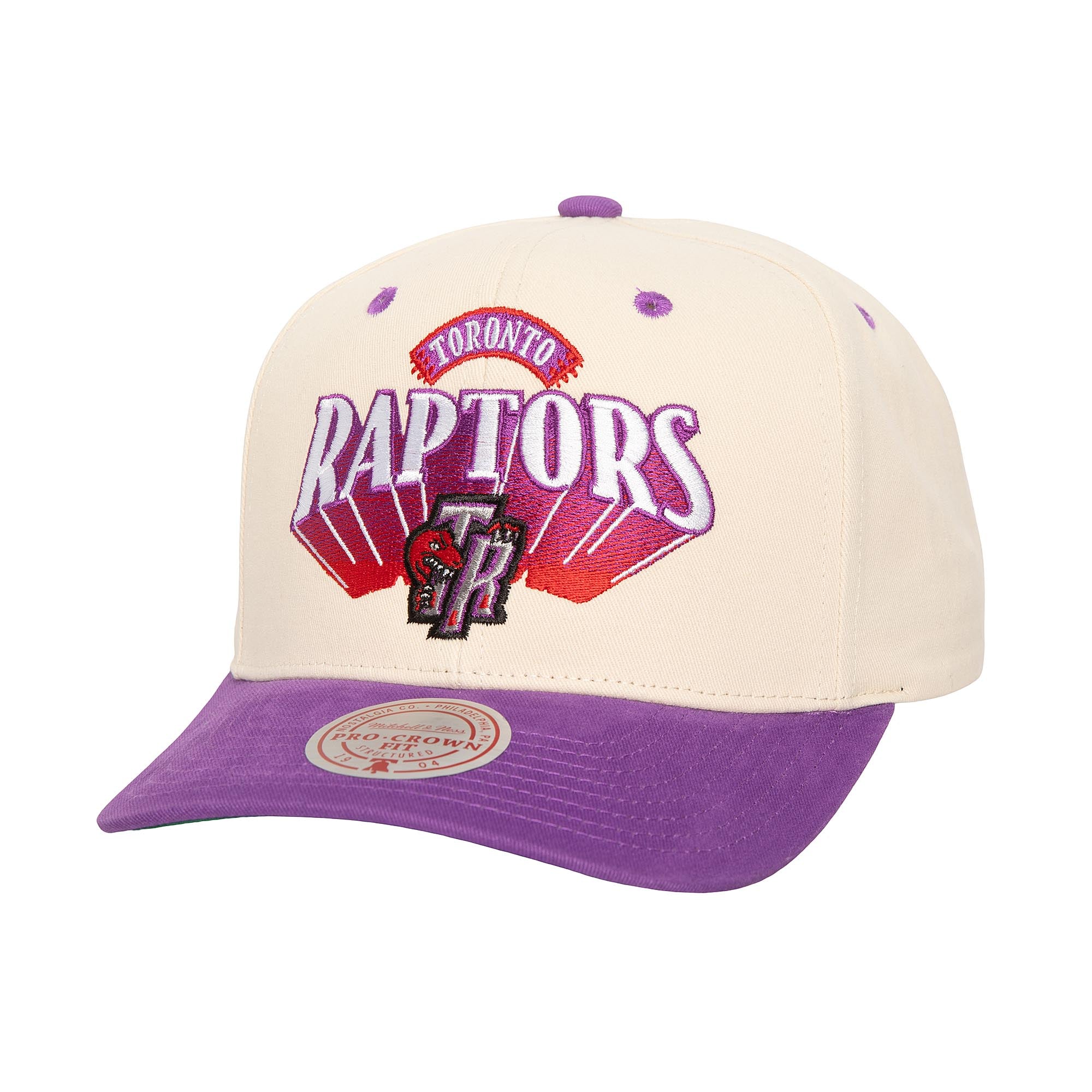 Gorra NBA Horizon Pro Snapback Hwc Raptors