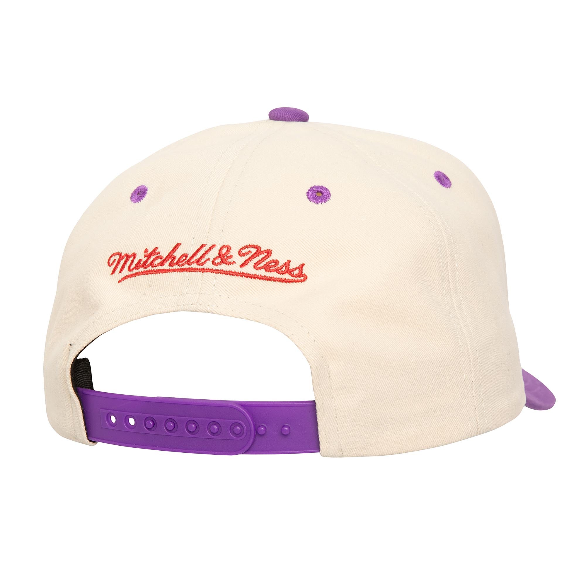 Gorra NBA Horizon Pro Snapback Hwc Raptors
