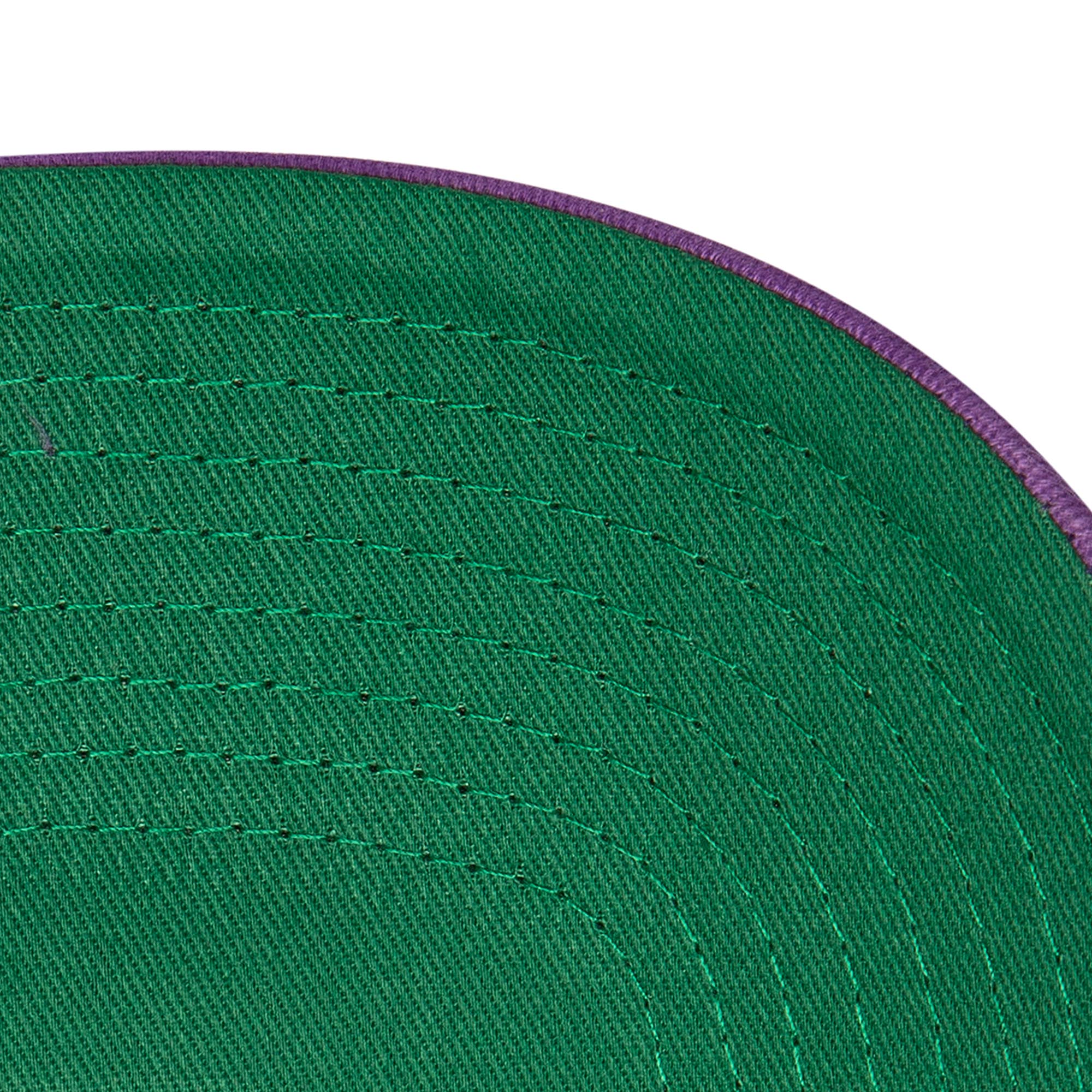 Gorra NBA Horizon Pro Snapback Hwc Raptors