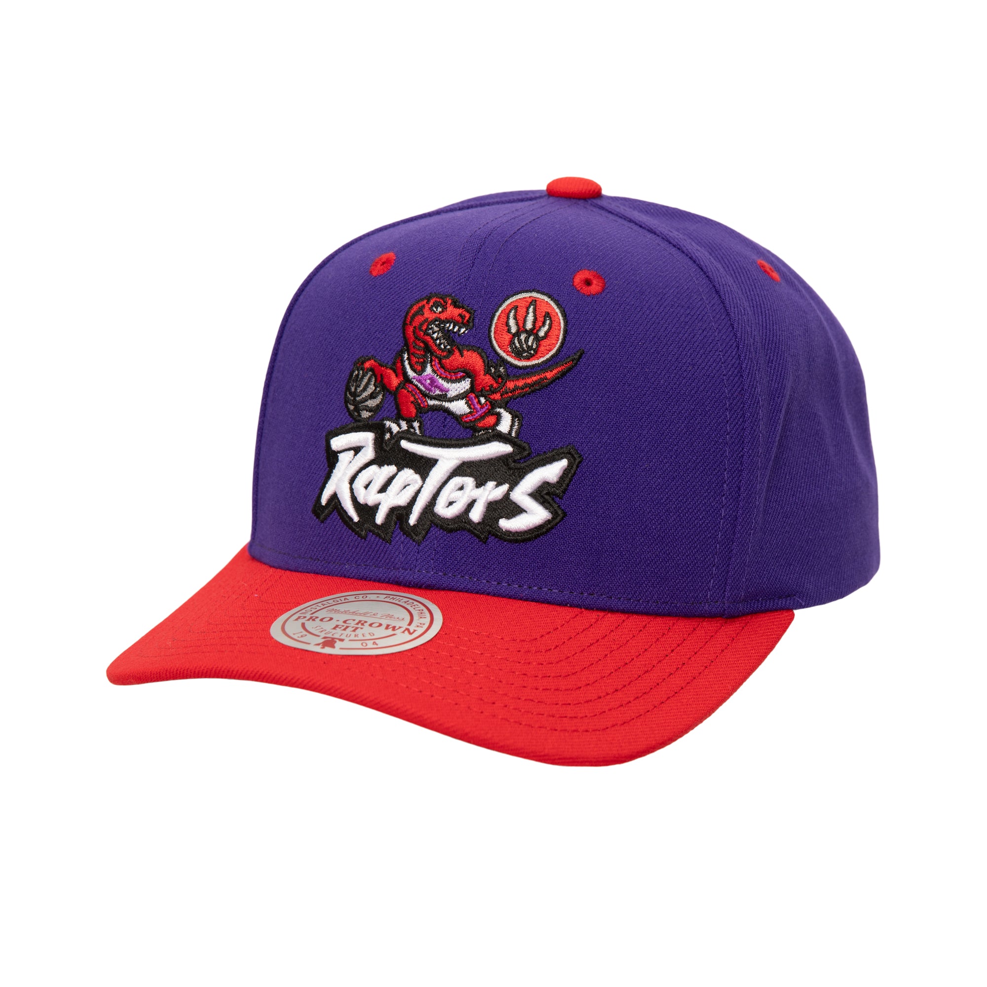 Gorra NBA All In 2.0 Pro Snapback Hwc Raptors