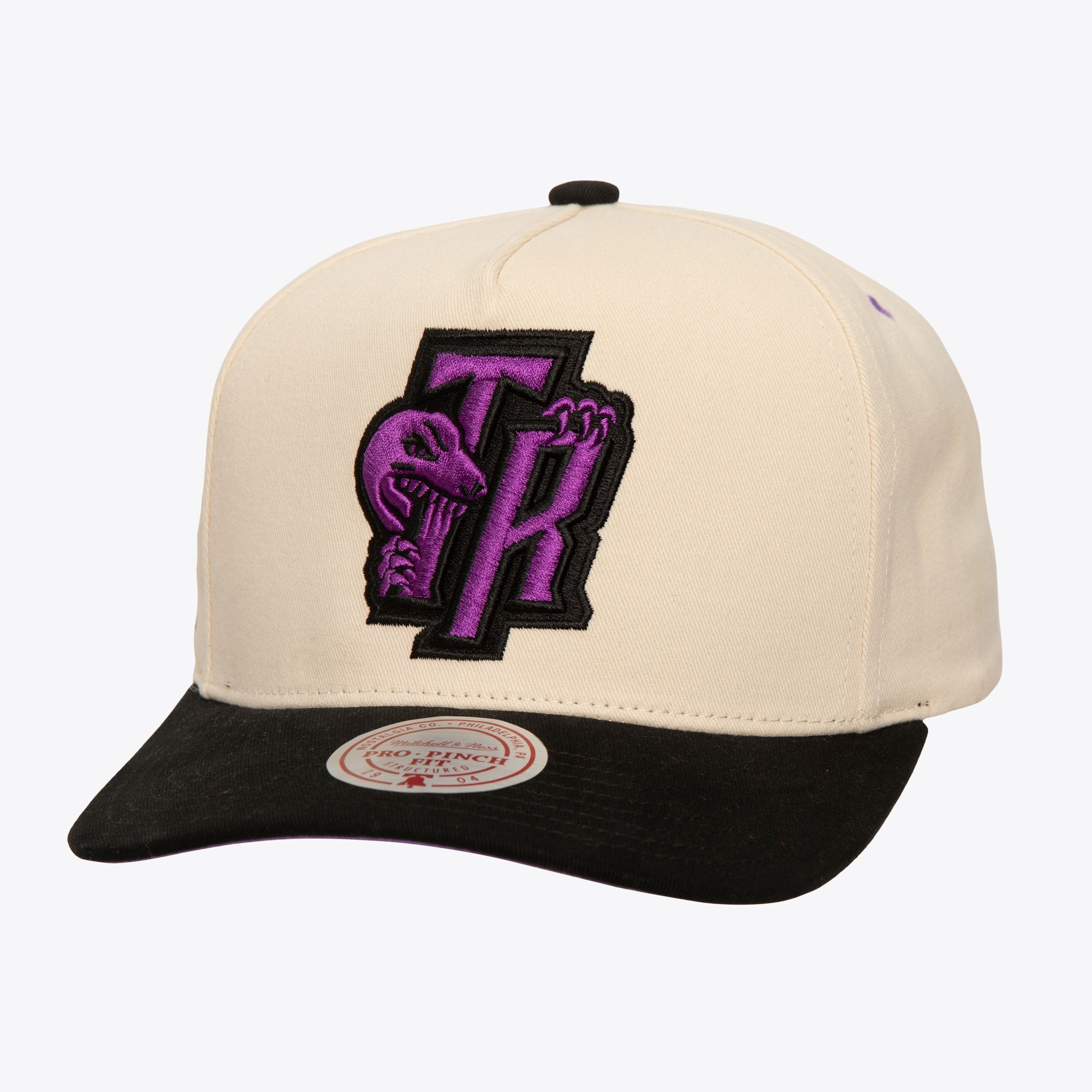 Gorra NBA Overspray Pro Snapback Hwc Raptors