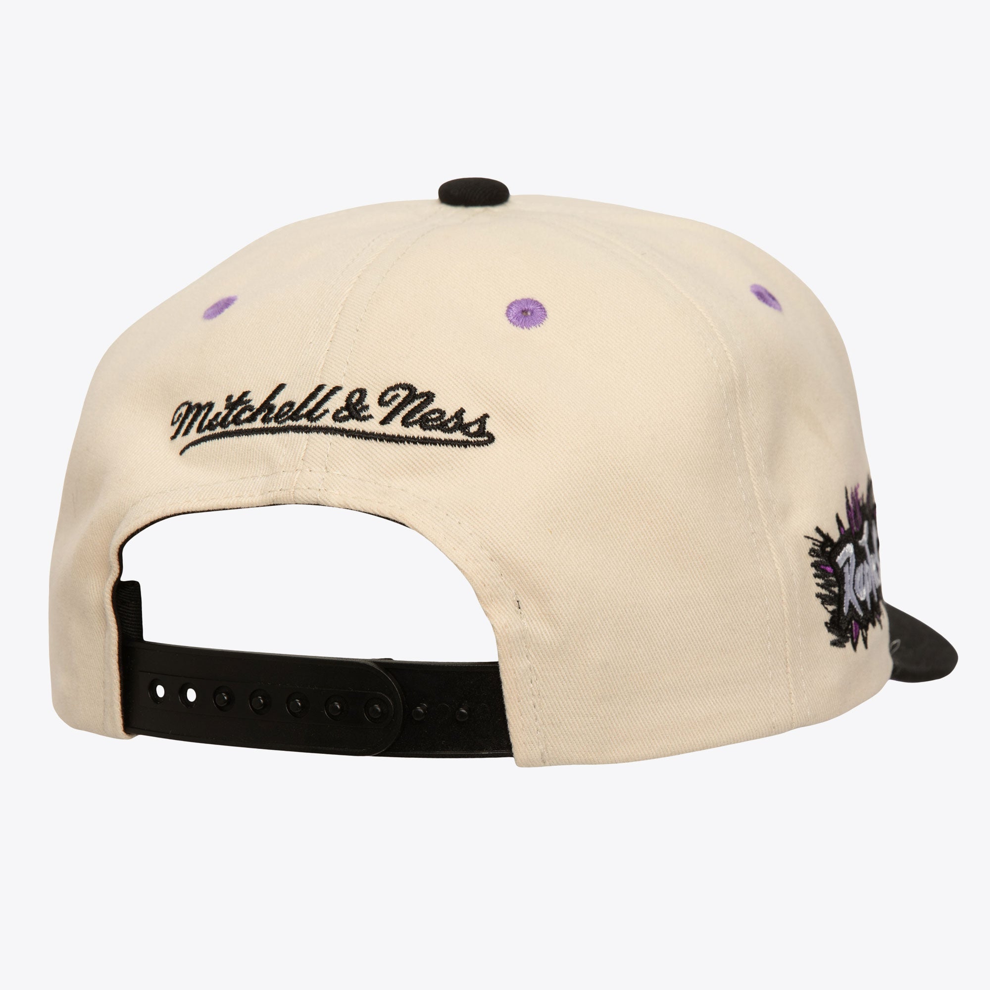 Gorra NBA Overspray Pro Snapback Hwc Raptors