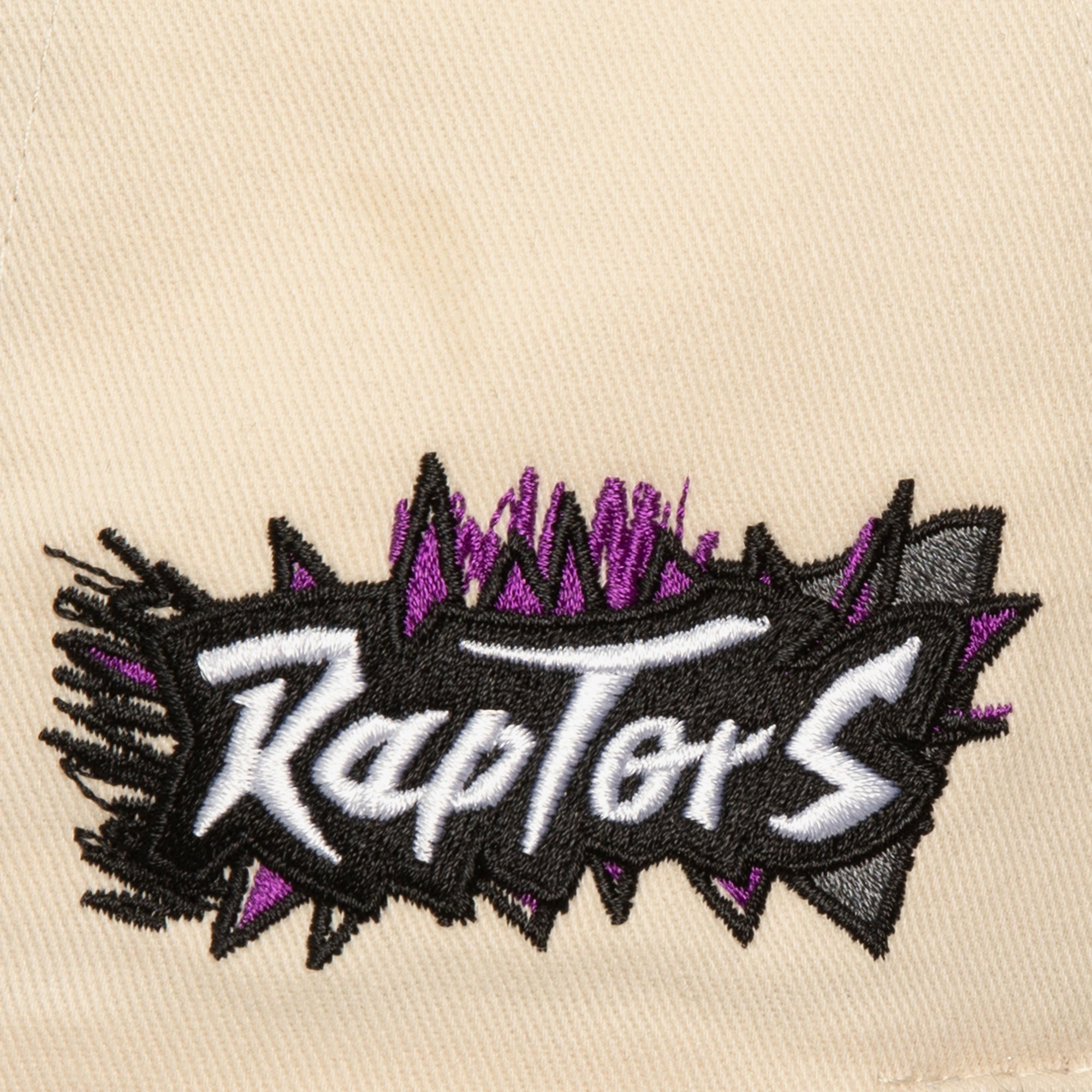 Gorra NBA Overspray Pro Snapback Hwc Raptors