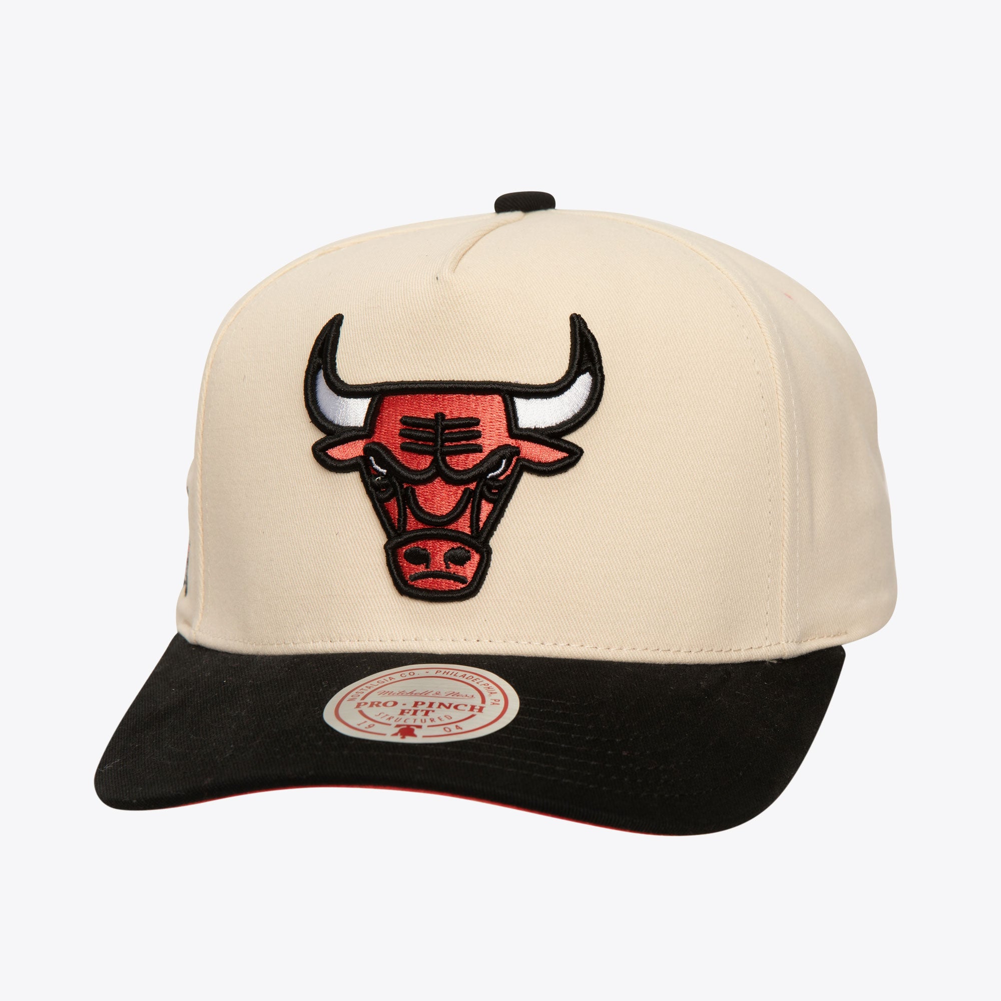 Gorra NBA Overspray Pro Snapback Bulls