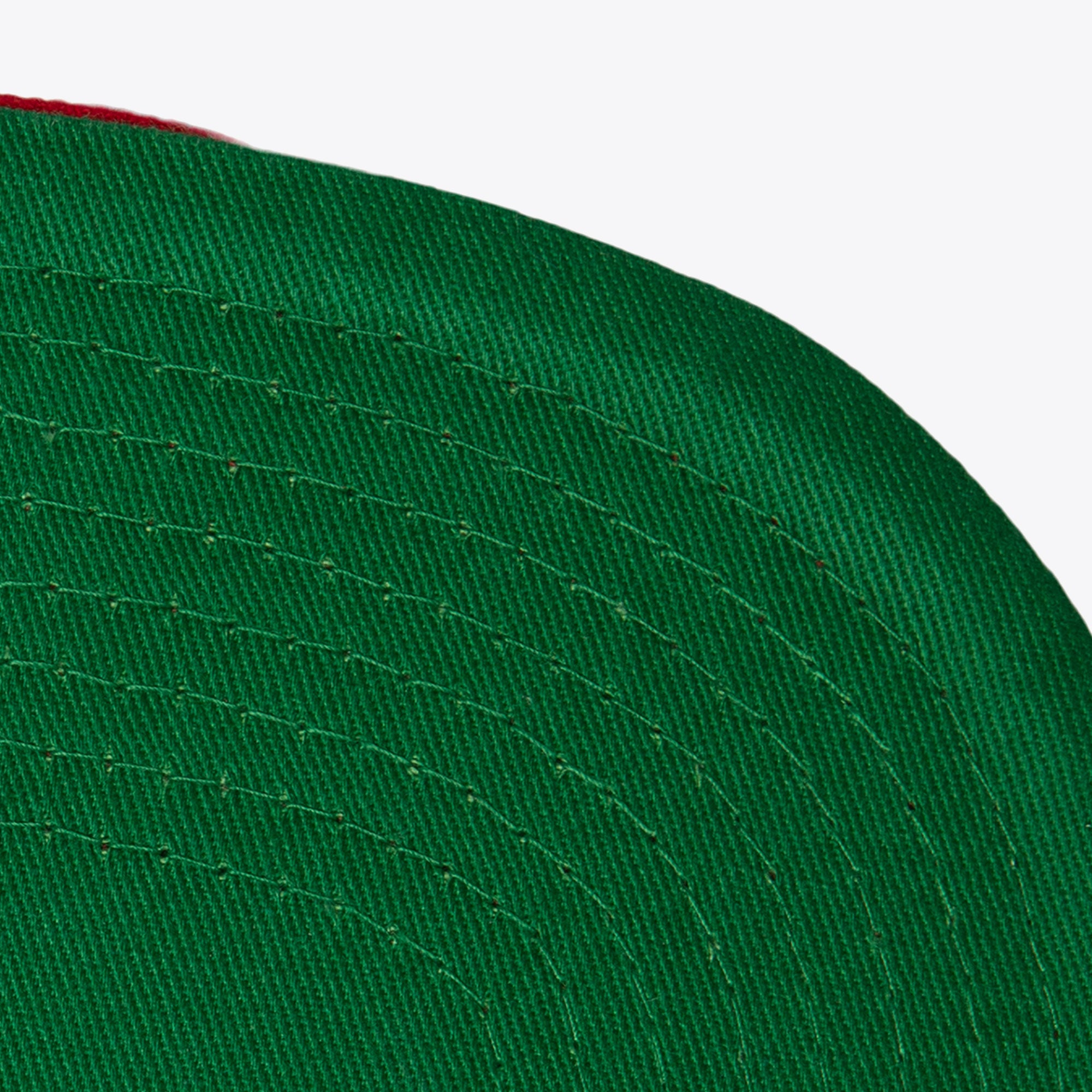 Gorra NHL Rise Up Snapback Vntg Red Wings