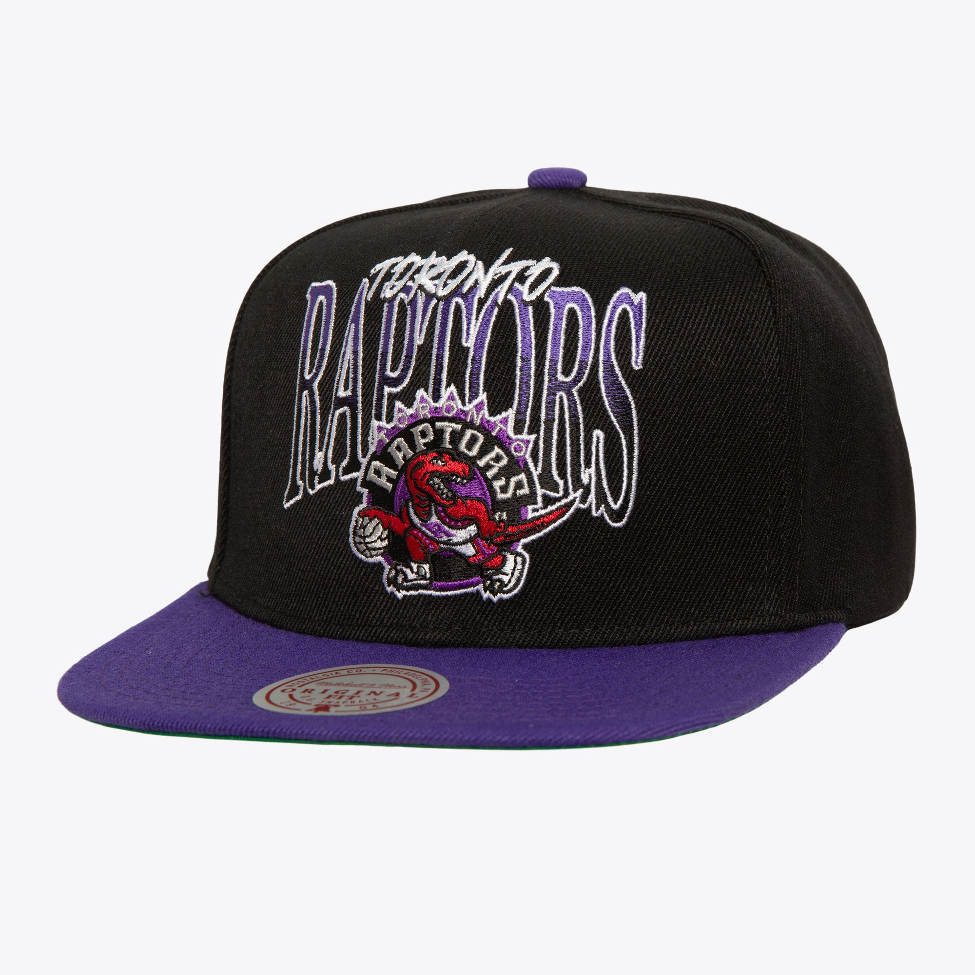 Gorra NBA Rise Up Snapback Hwc Raptors