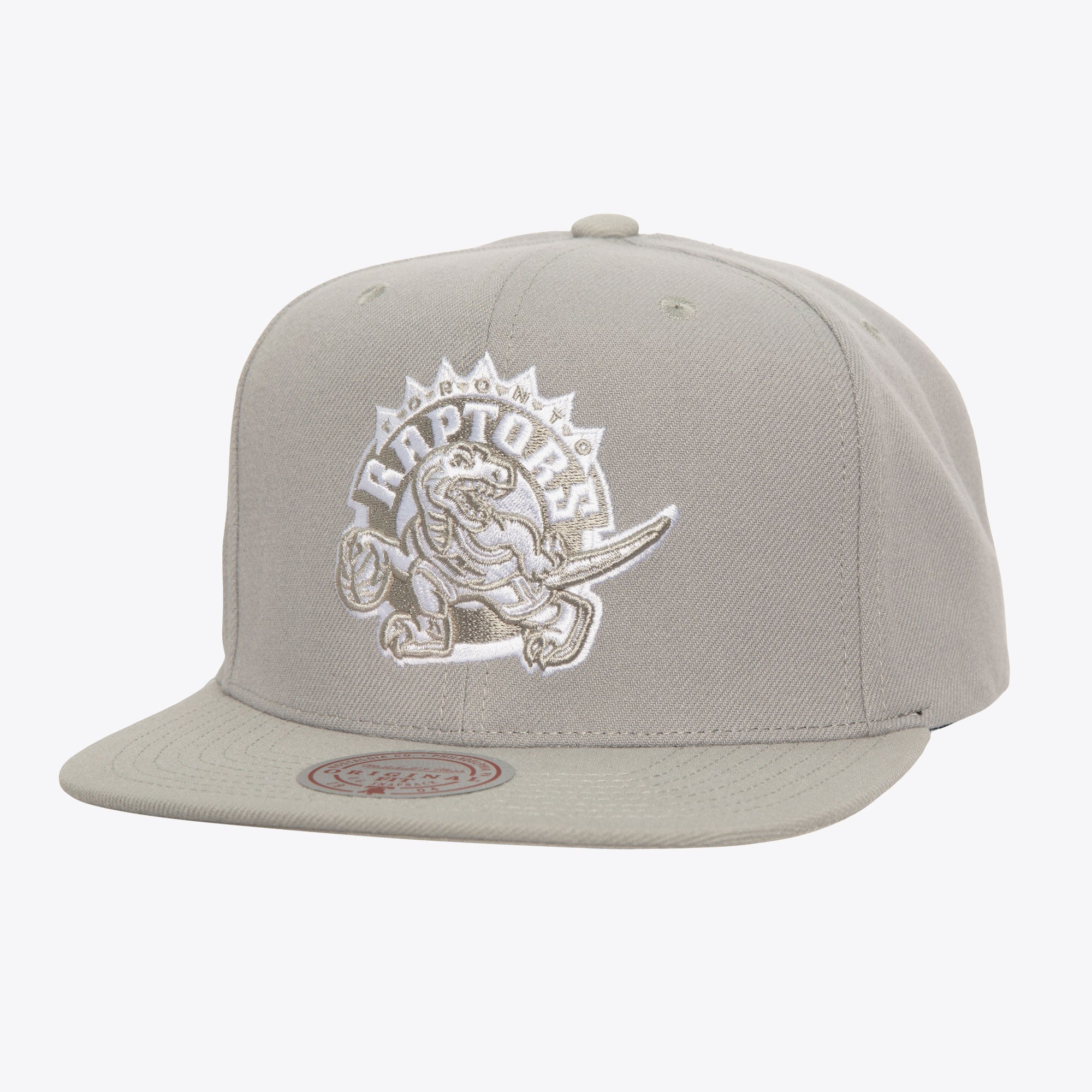 Gorra NBA Evergreen Grey White Snapback Hwc Raptors