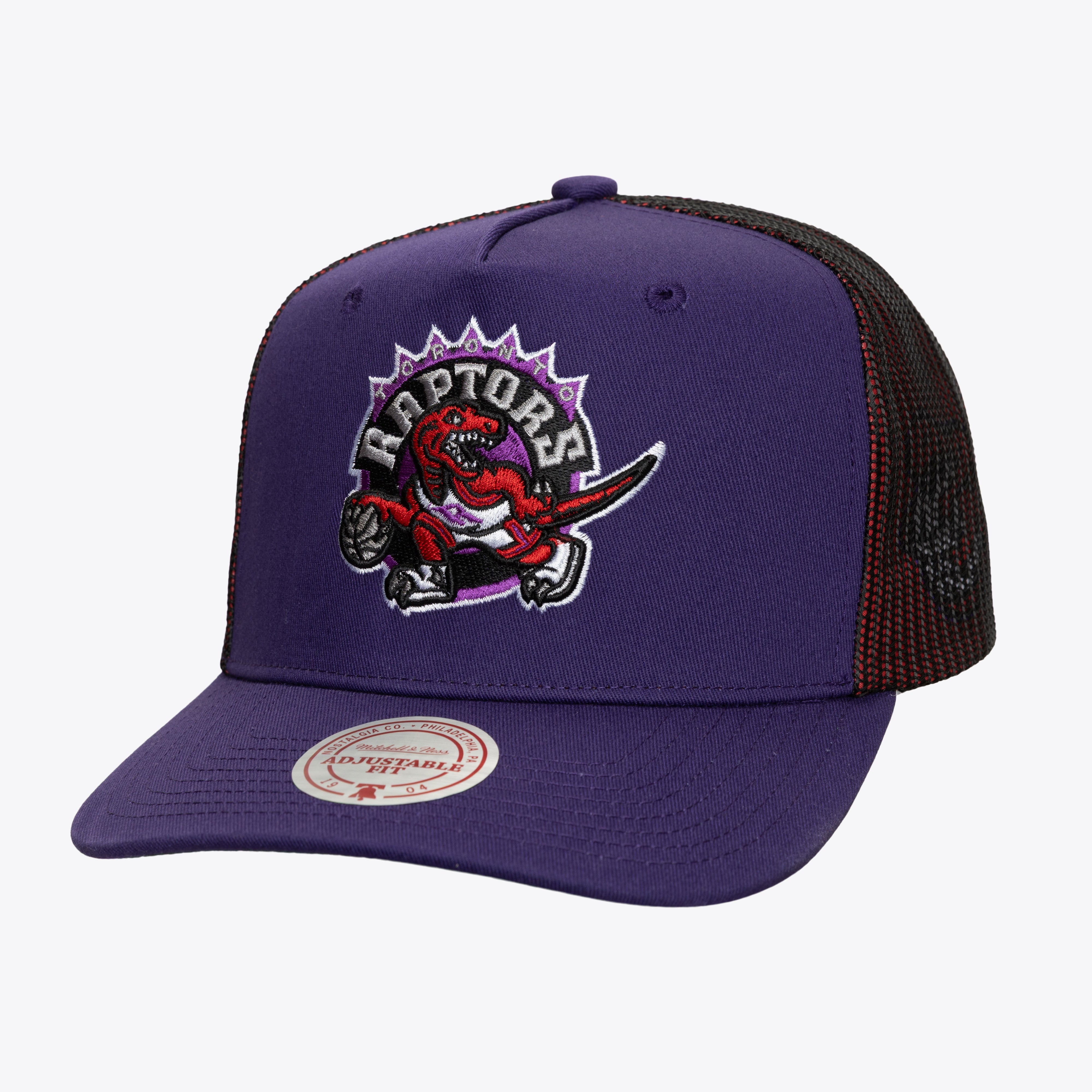 Gorra M&N NBA Tremor Trucker Hwc Raptors