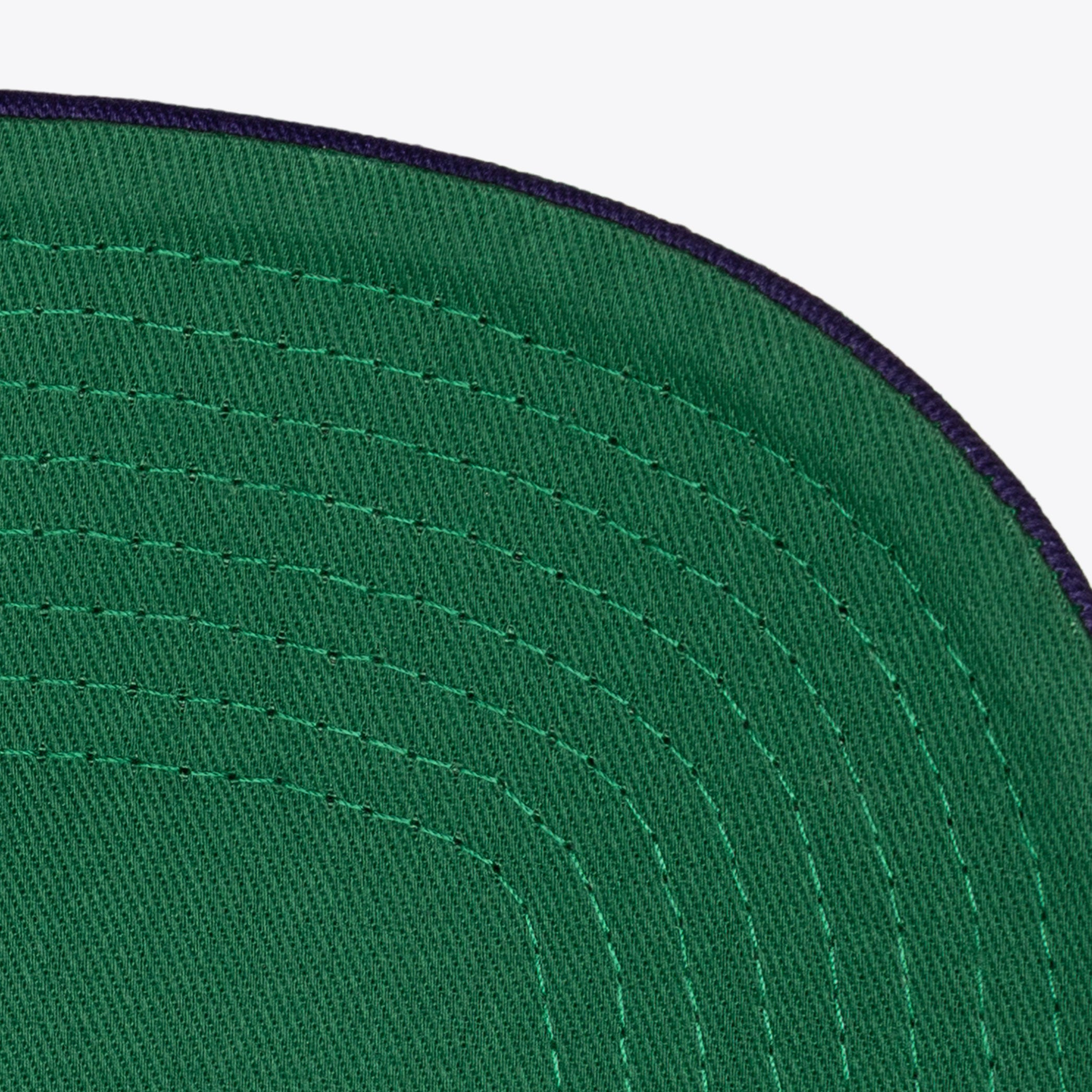 Gorra M&N NBA Tremor Trucker Hwc Raptors
