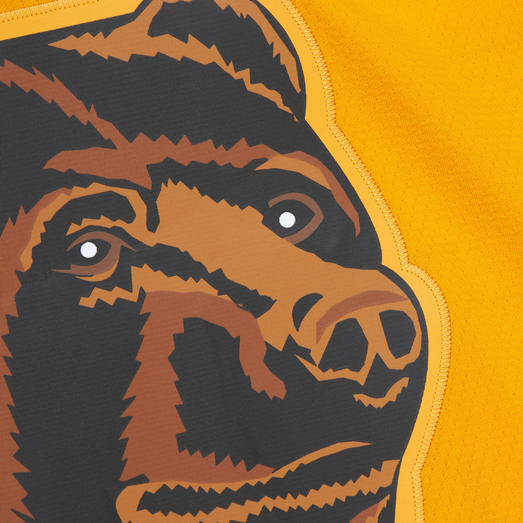 Jersey M&N NHL Dark Alternate Bruins 1996 Ray Bourque