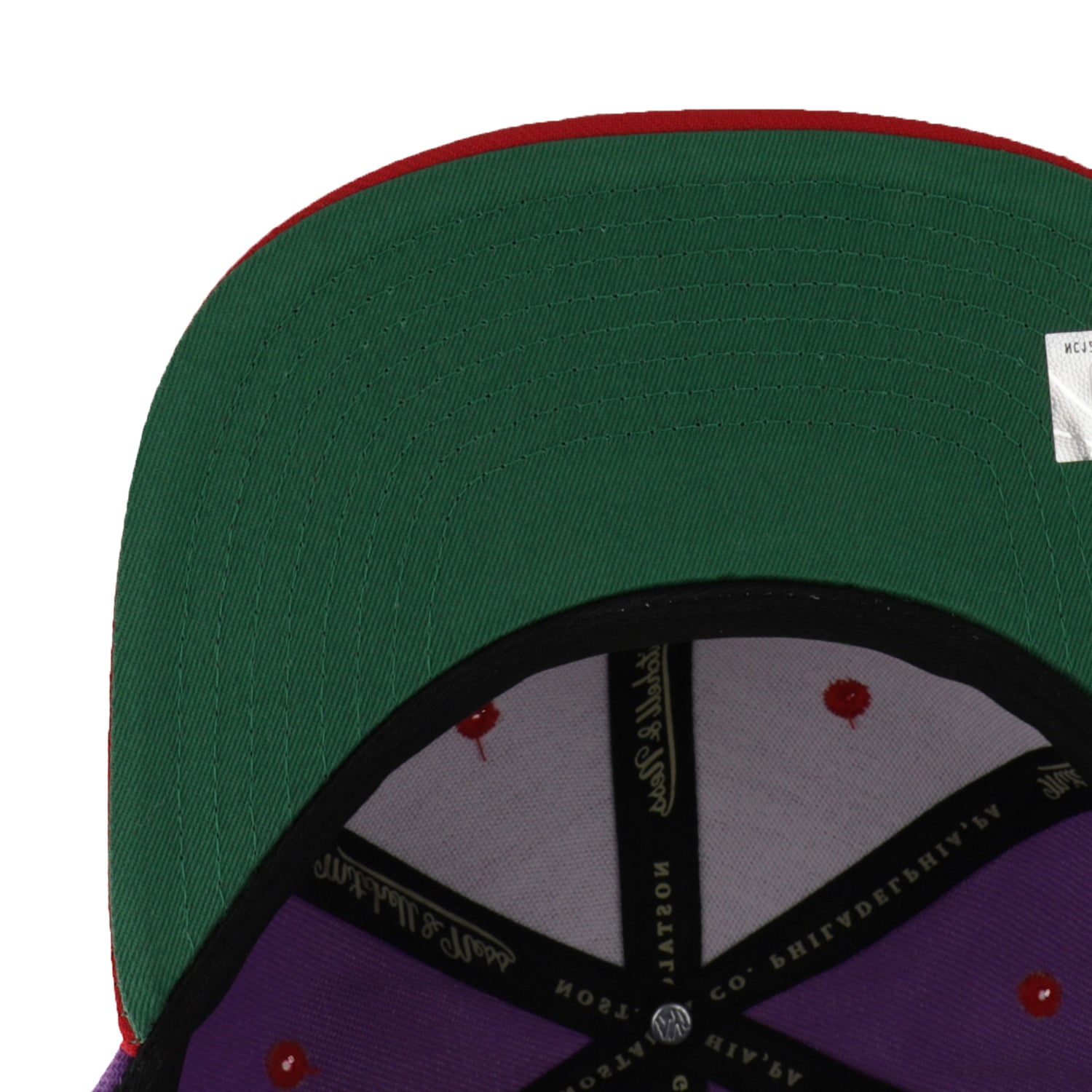 NBA BREAKTHROUGH SNAPBACK HWC RAPTORS