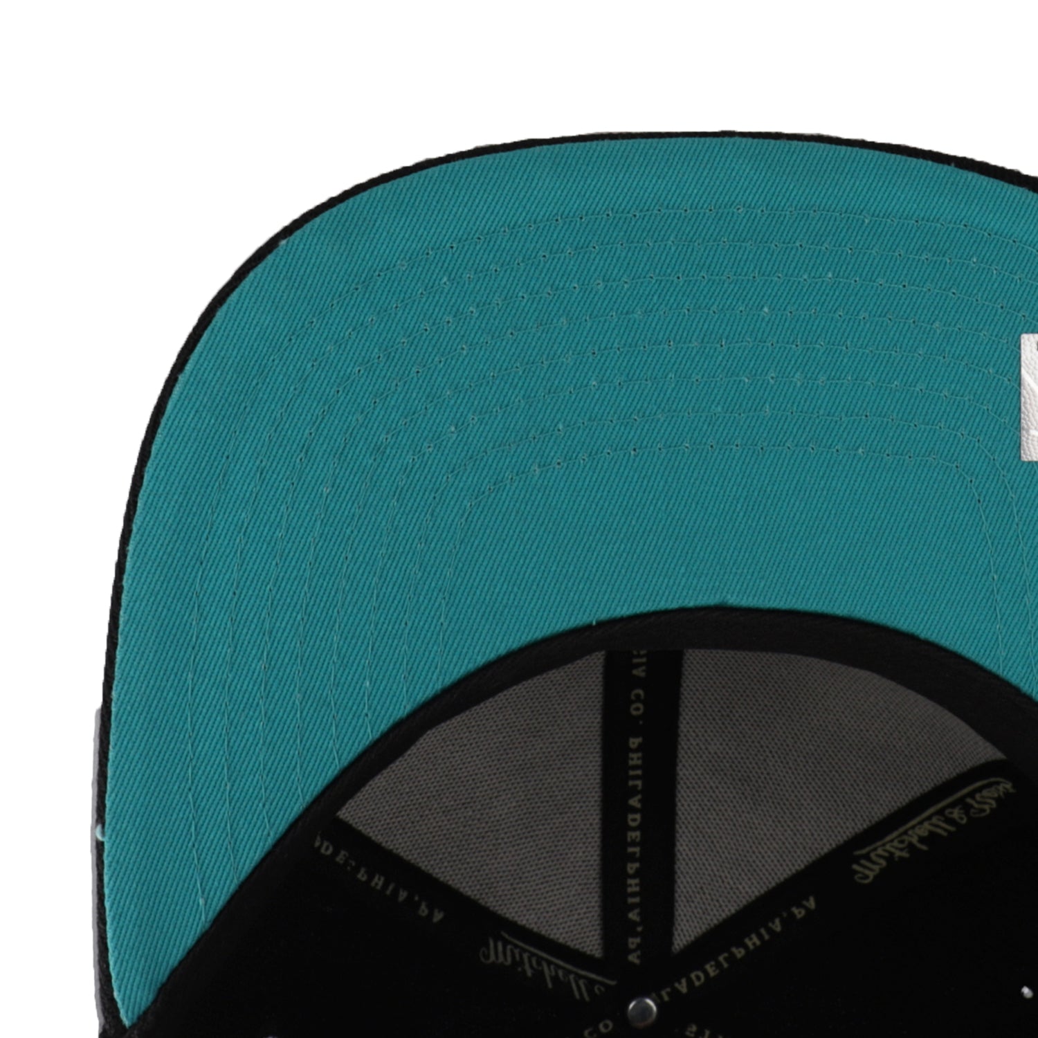 NBA PAINT BY NUMBER SNAPBACK HWC GRIZZLIES