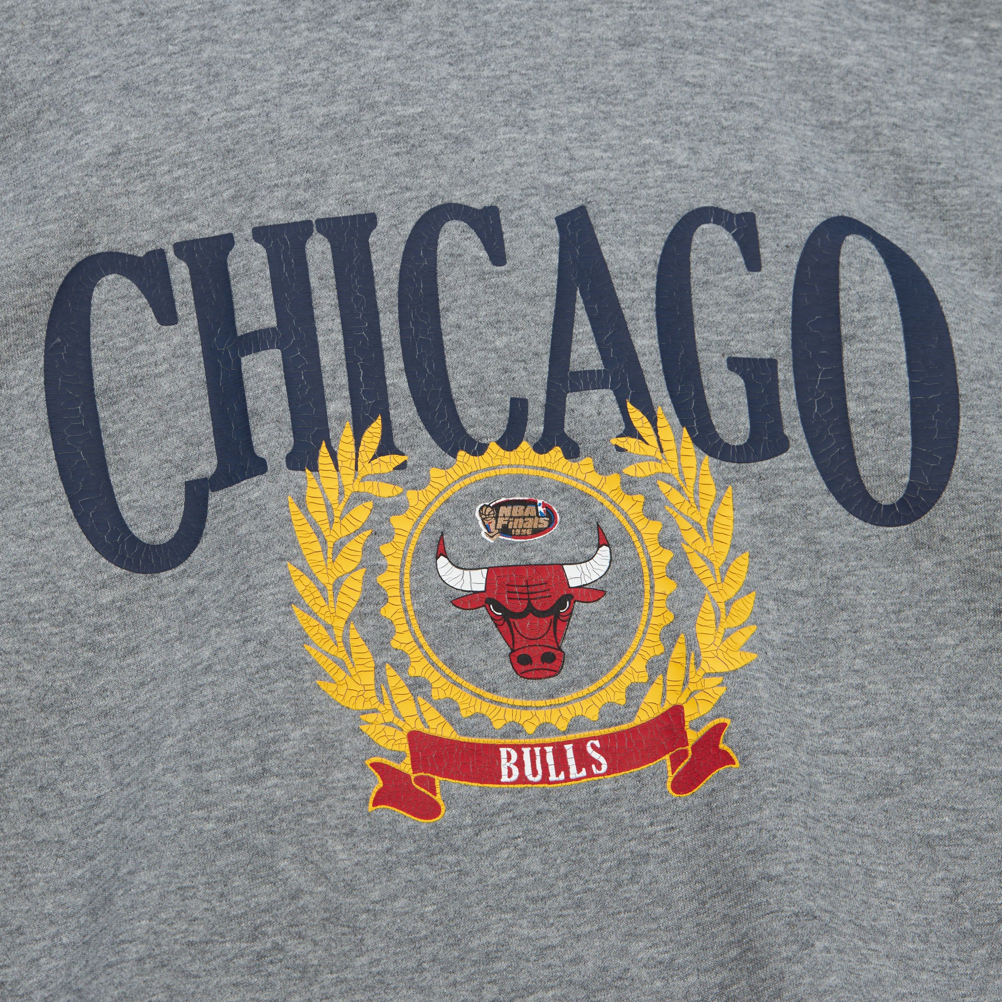 NBA COLLEGIATE HOODIE BULLS