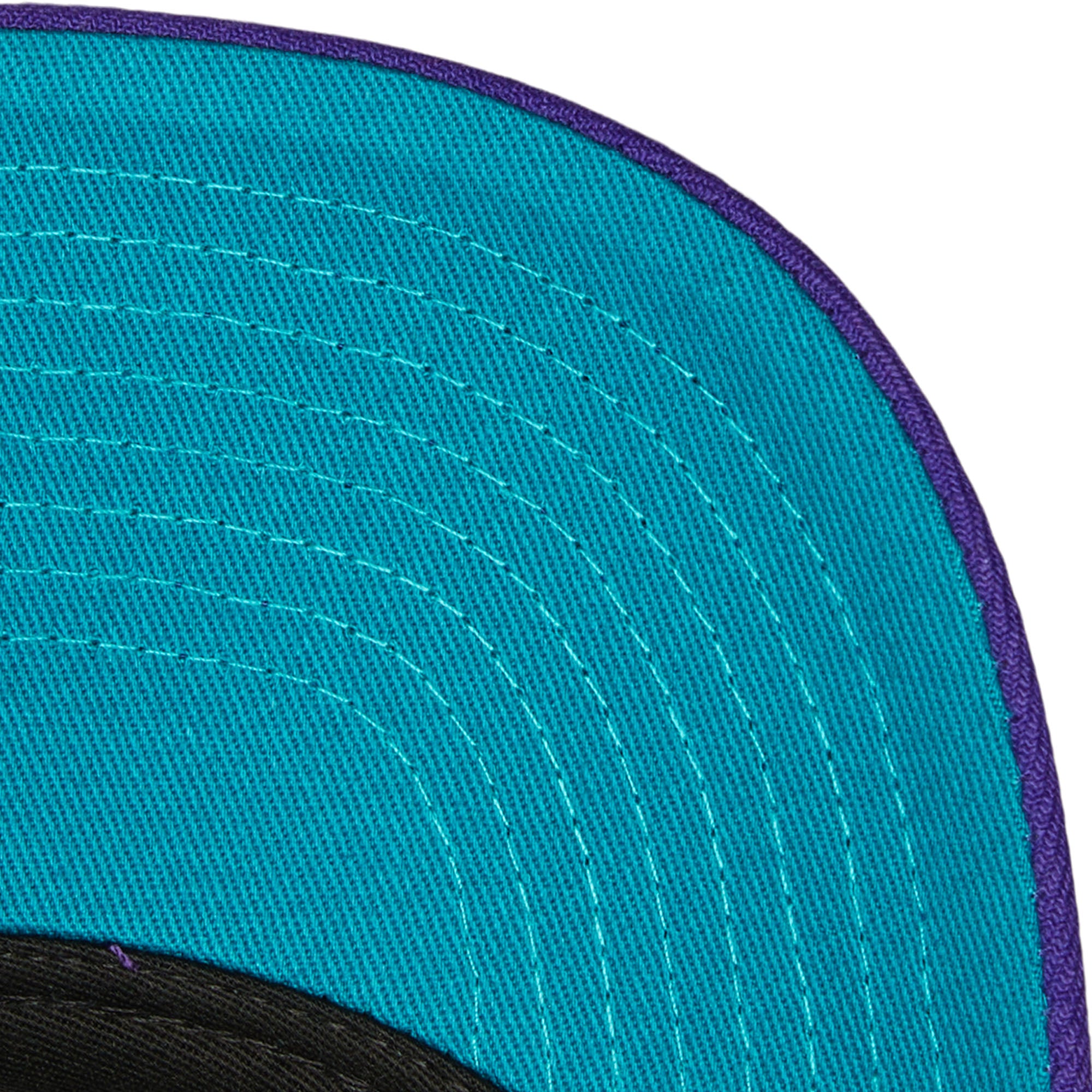 NBA TEAM LOFI PRO SNAPBACK HWC HORNETS