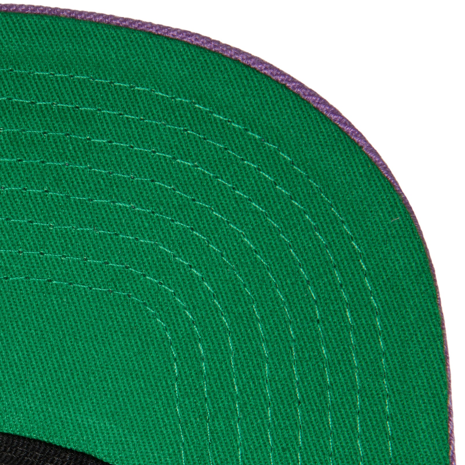 NBA POP PANEL SNAPBACK HWC RAPTORS