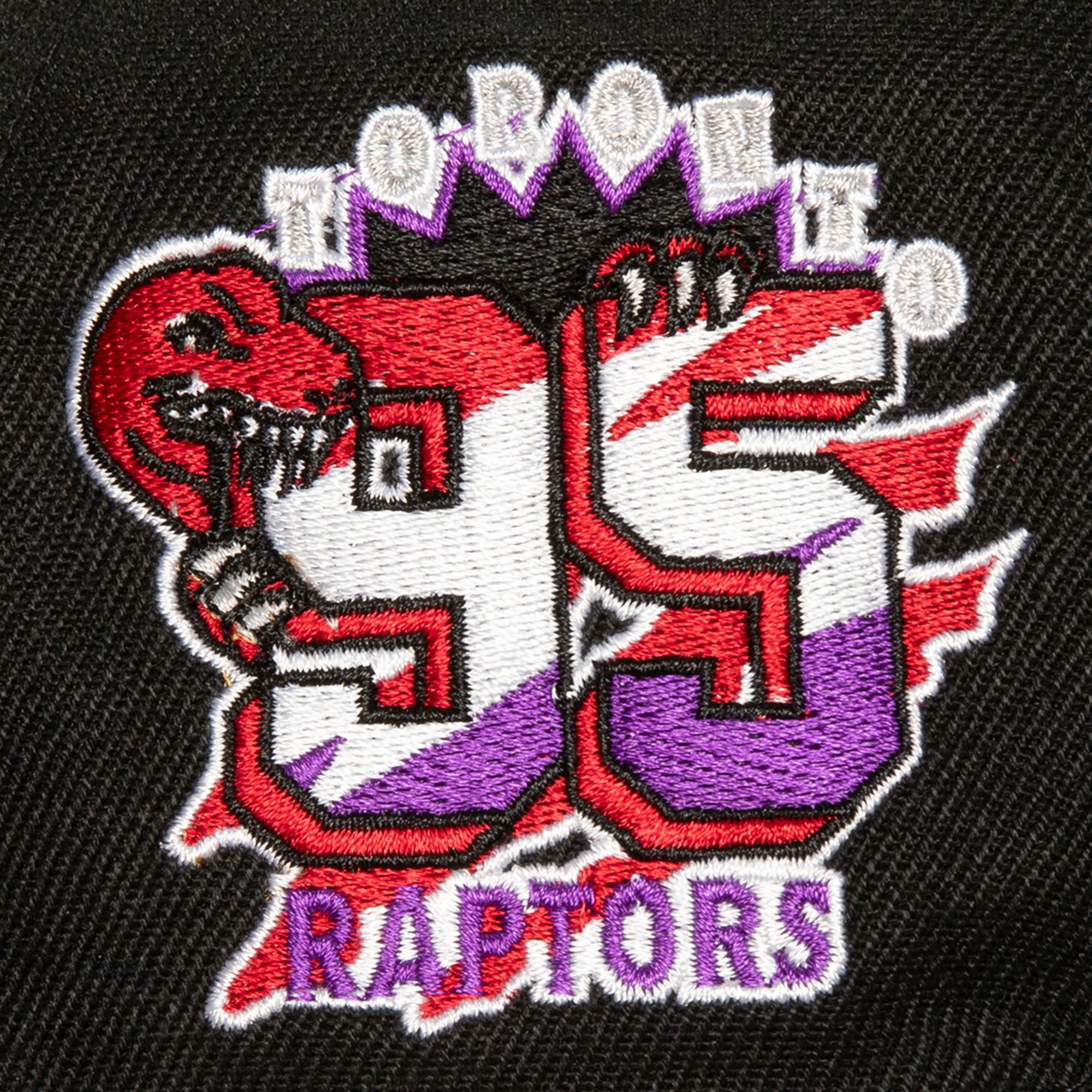 CAP NBA SIDE JAM SNAPBACK HWC RAPTORS