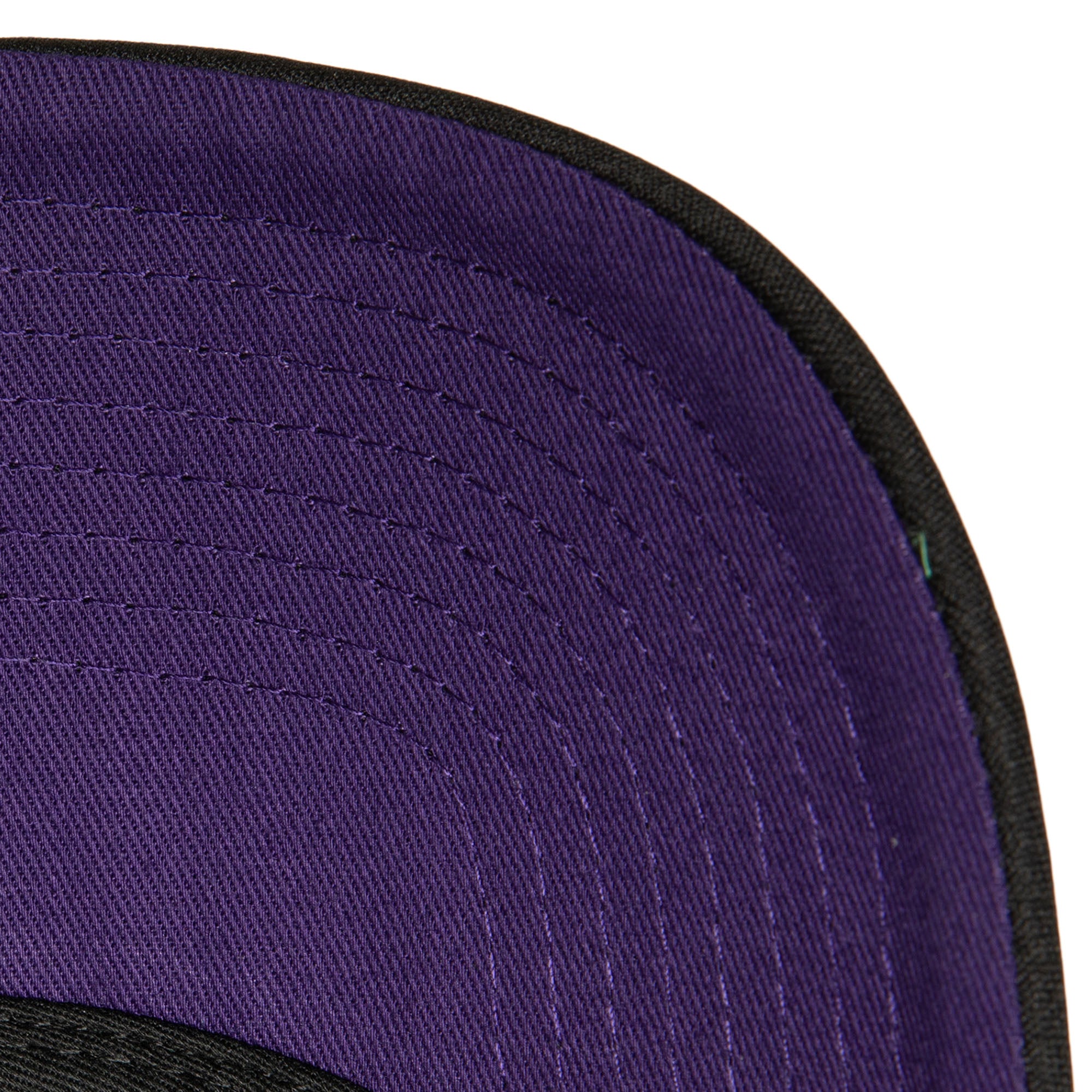 CAP NBA ROCK ON TRUCKER HWC RAPTORS