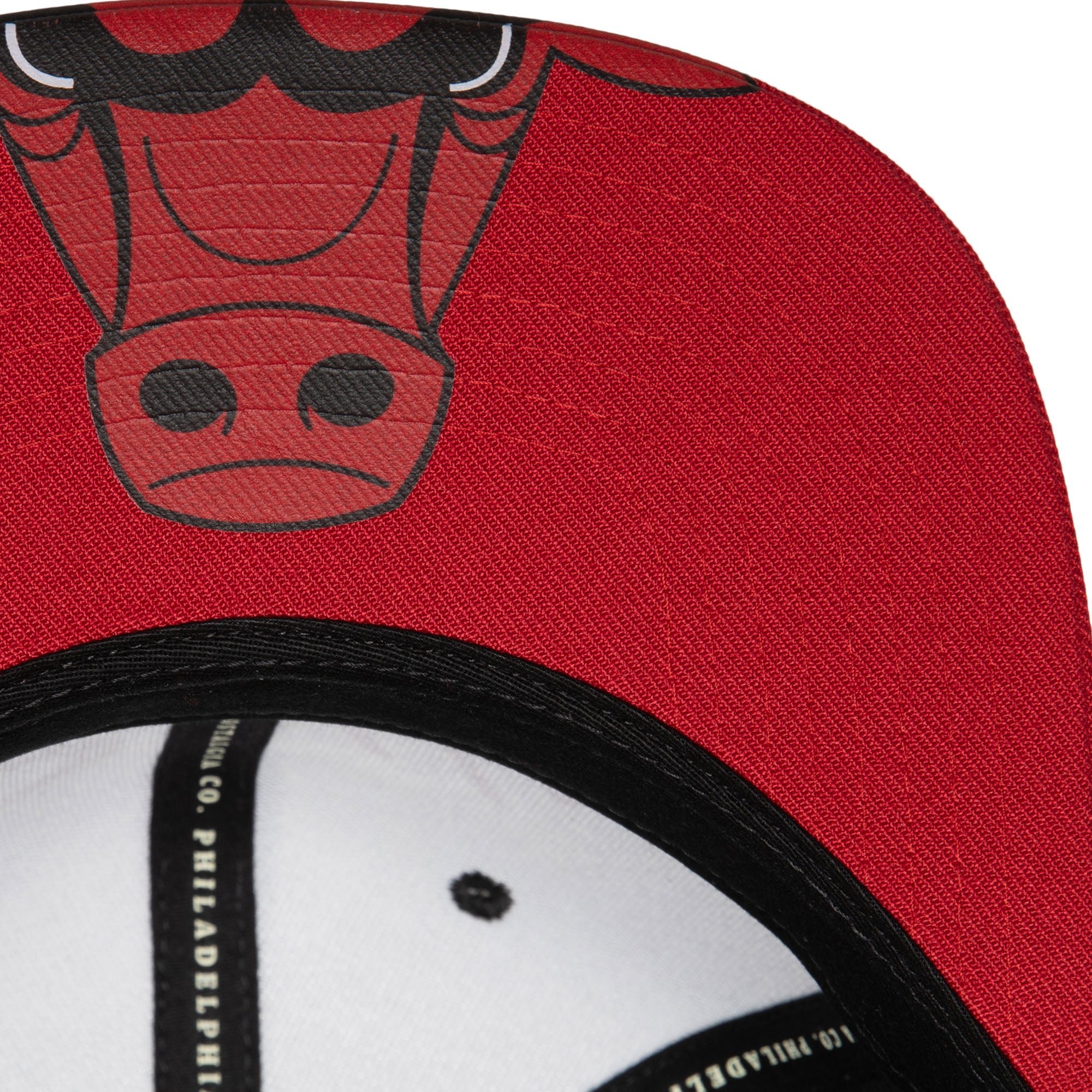 NBA BIG MOUTH SNAPBACK BULLS