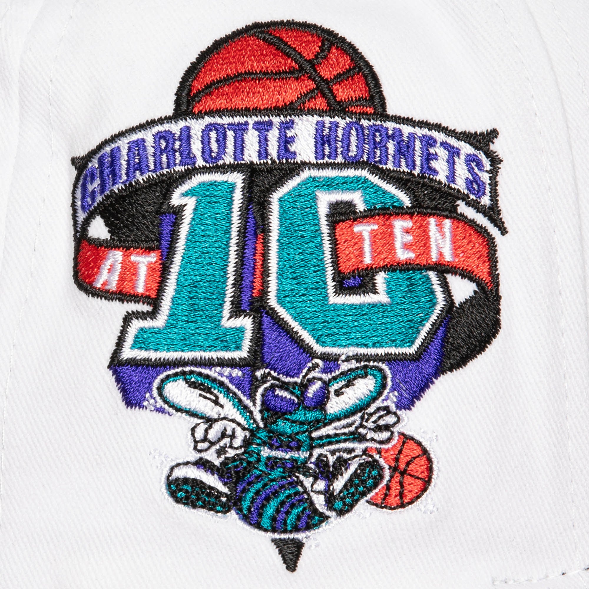 NBA TAIL SWEEP PRO SNAPBACK HWC HORNETS