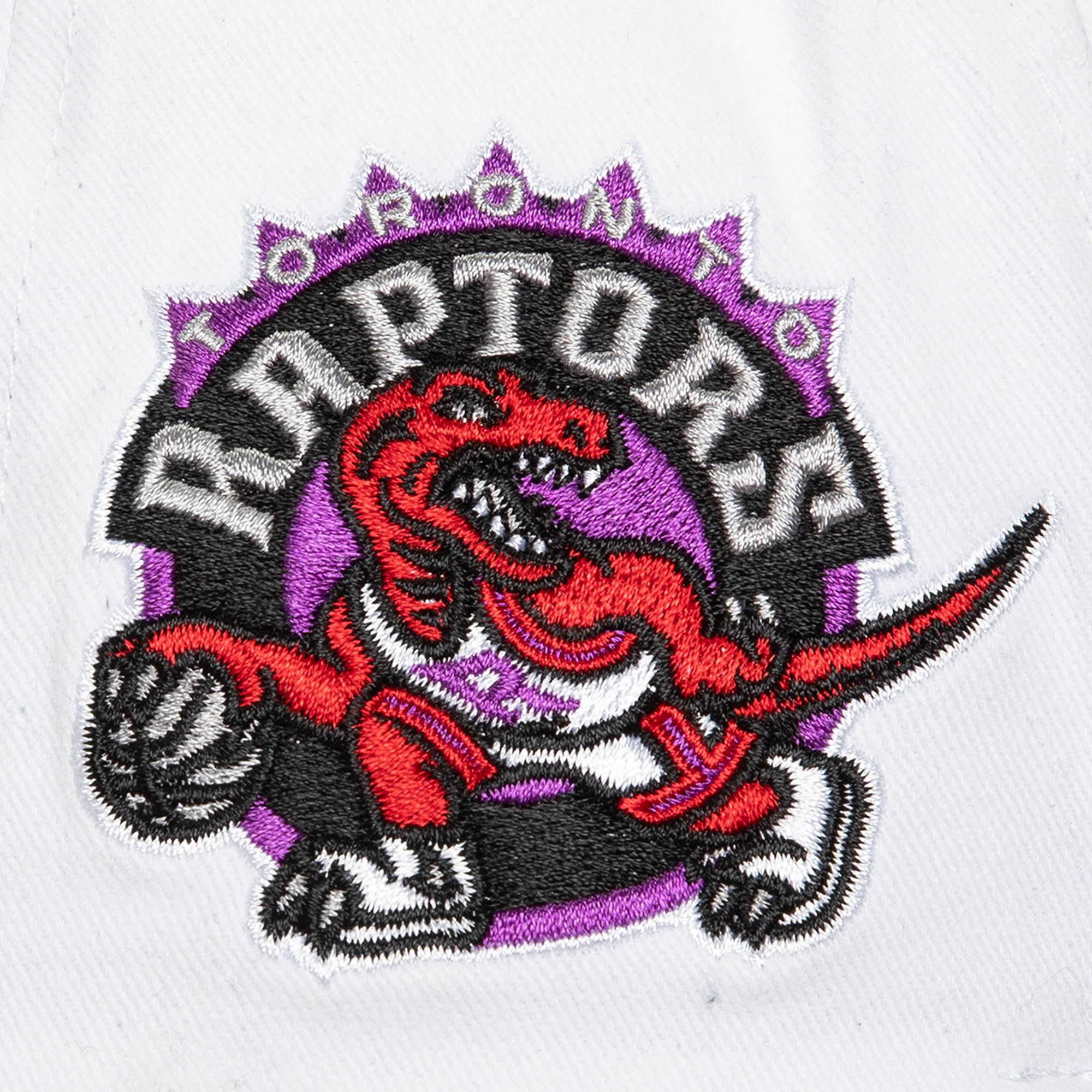 NBA FLIPPED PRO SNAPBACK HWC RAPTORS