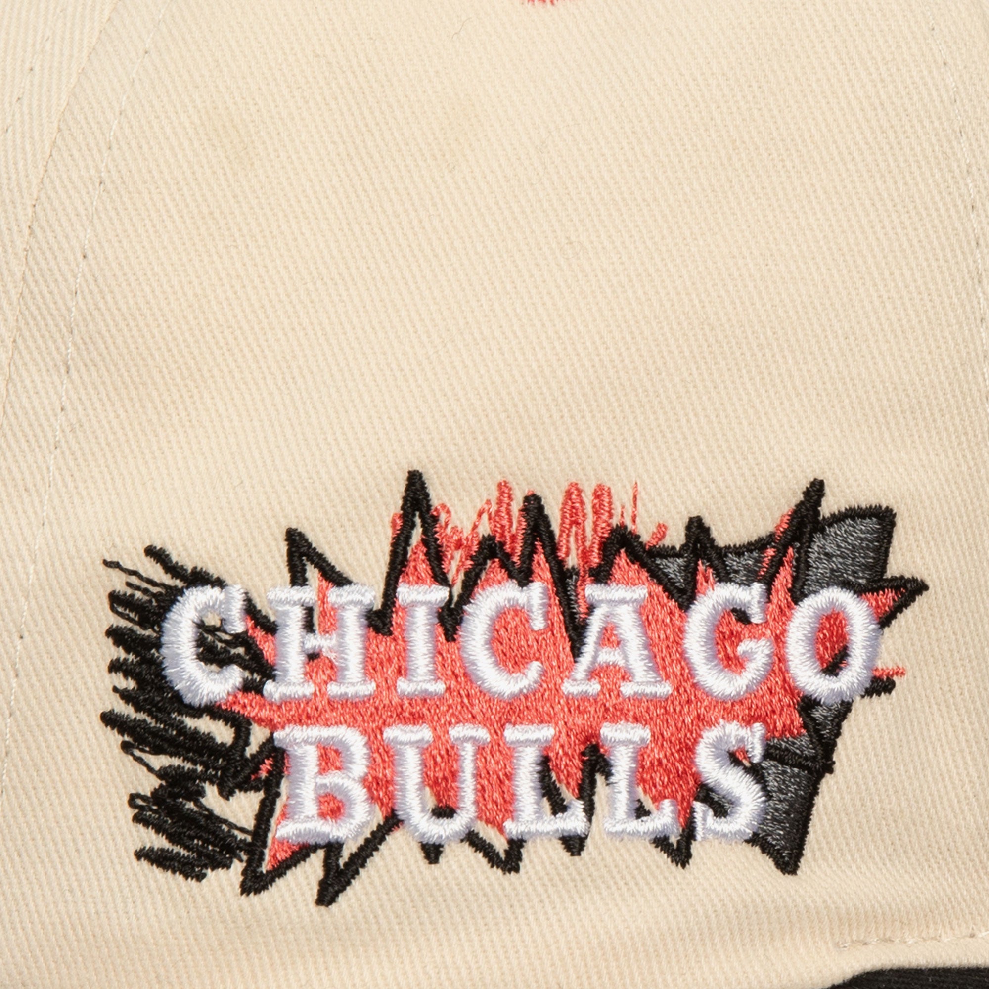 Gorra NBA Overspray Pro Snapback Bulls