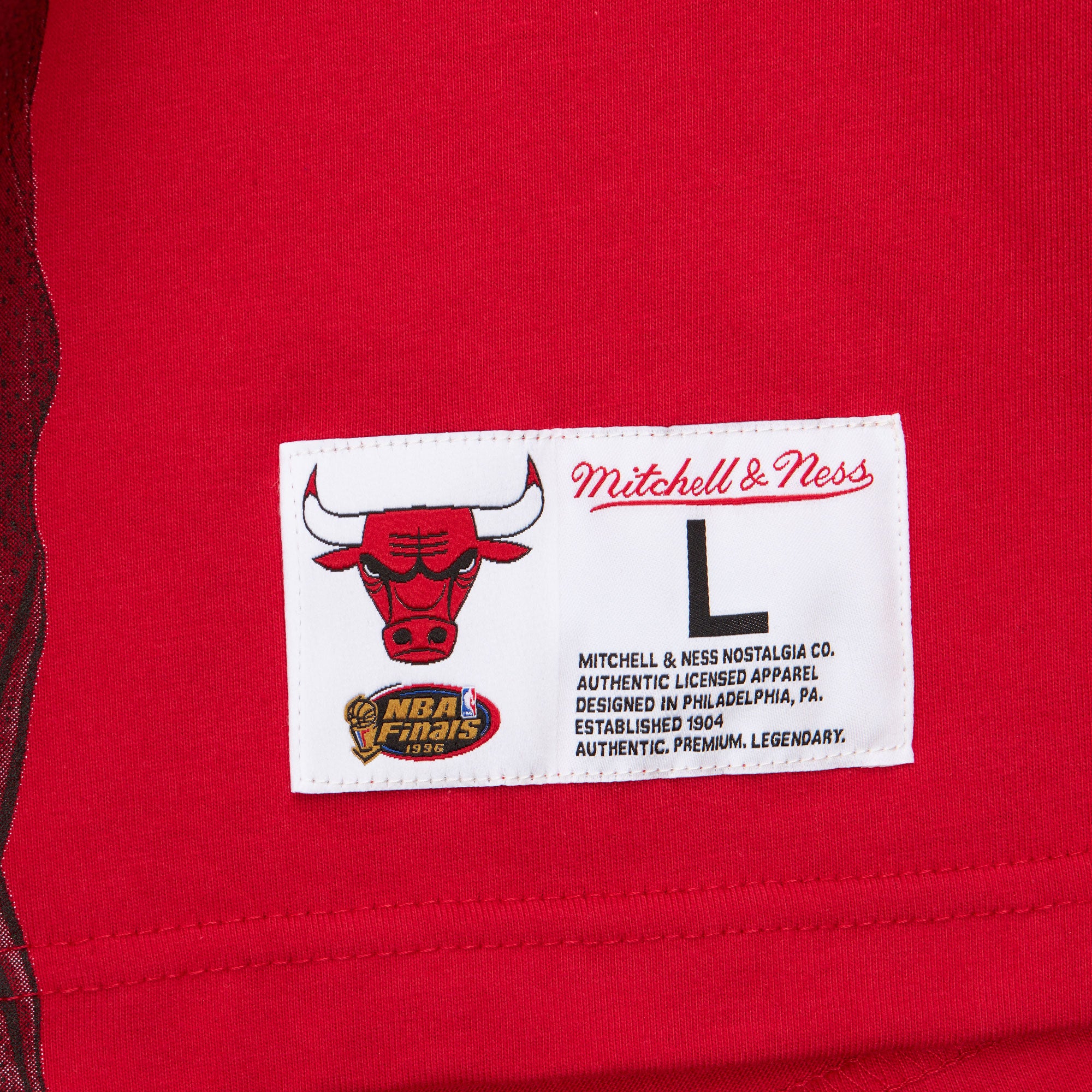 Tee M&N NBA Ultimate Player Tee Vintage Logo Bulls Dennis Rodman