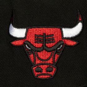 NBA RETRO SPORT SNAPBACK BULLS